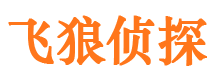 巫山市私家侦探